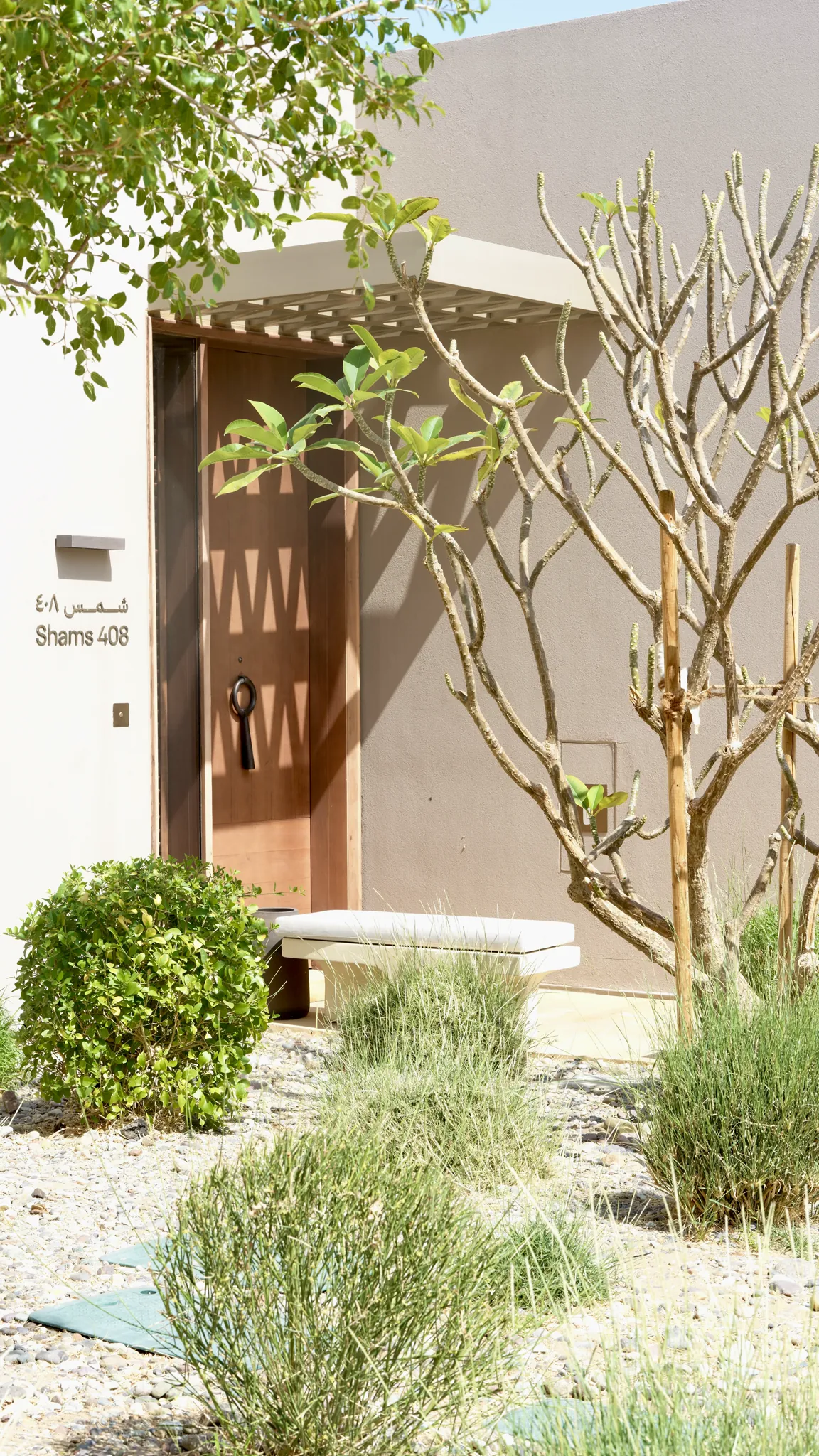建筑门前绿植与编号 Shams 408